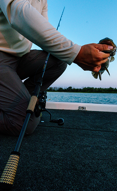 Cashion brings back the ELITE, rebuilt from the blank up as the ELITE PRO