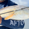 Saltwater Bait Finesse Fishing Rods | NEW from Cashion